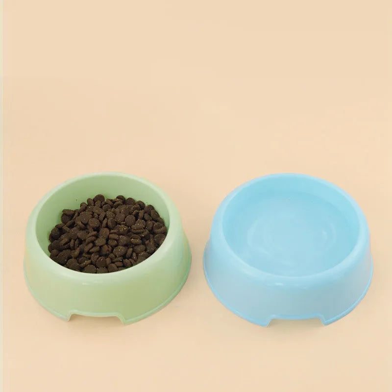 Pet Feeder Bowl