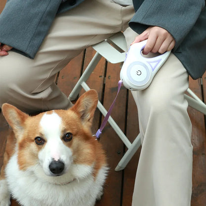 Luminous Dog Leash