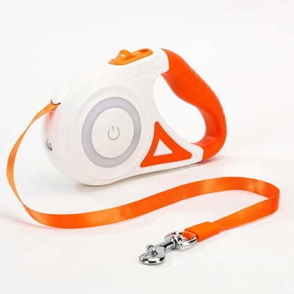 Luminous Dog Leash