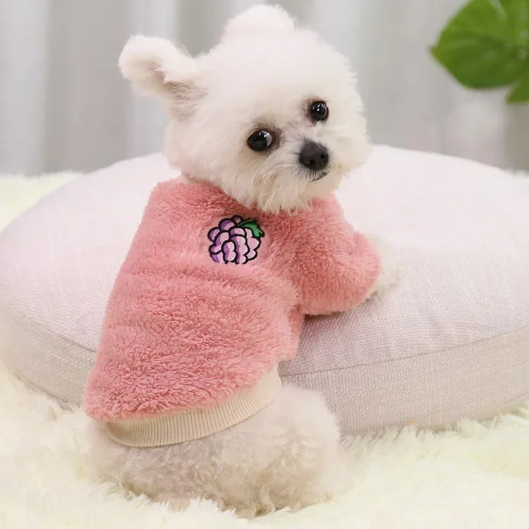 Cozy Small Dog Outfit