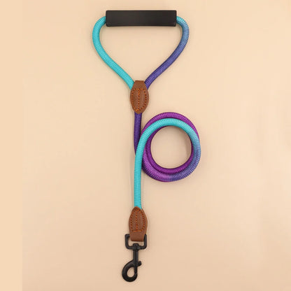 Soft Handle Pet Leash