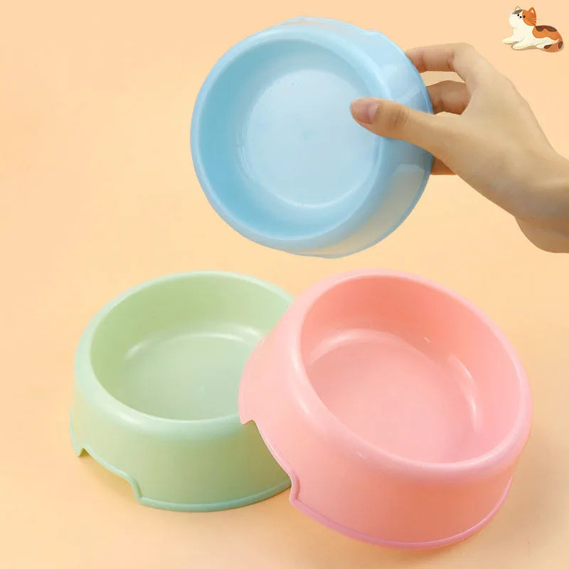 Pet Feeder Bowl
