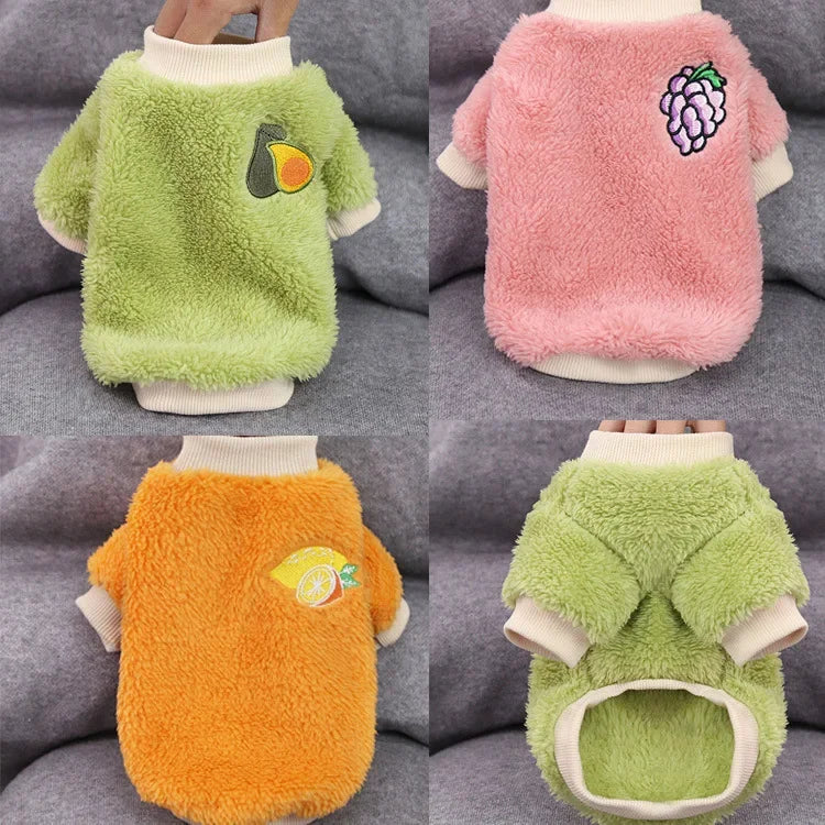 Cozy Small Dog Outfit