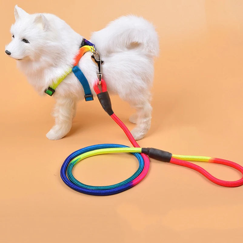 Round Nylon Pet Leash