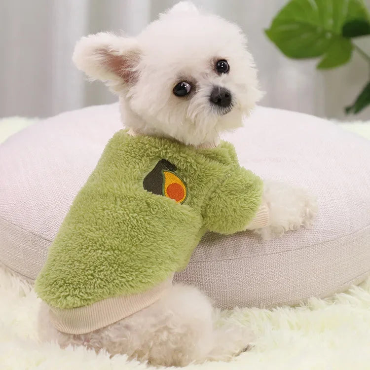 Cozy Small Dog Outfit
