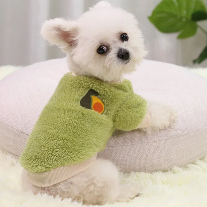 Cozy Small Dog Outfit