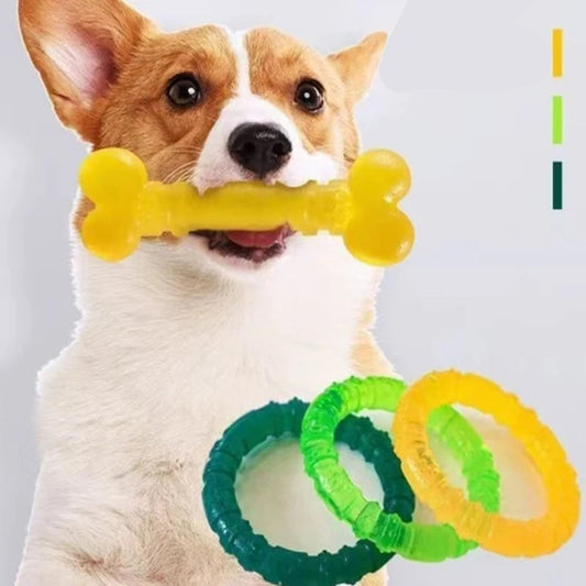 Interactive Dog Toys