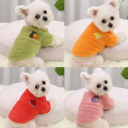 Cozy Small Dog Outfit