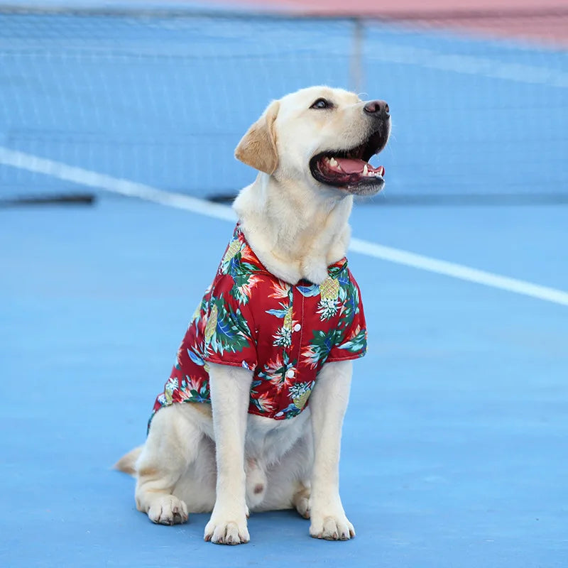 Dog Casual T-Shirt