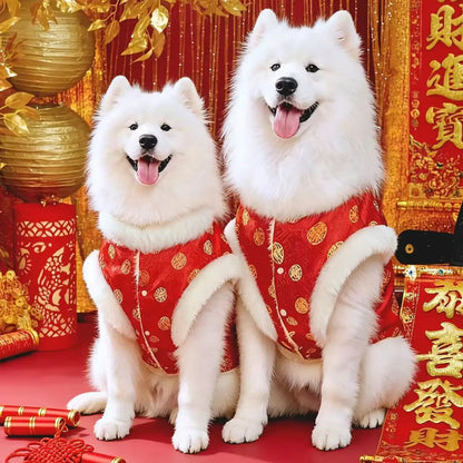 Classic Chinese Pet Wear