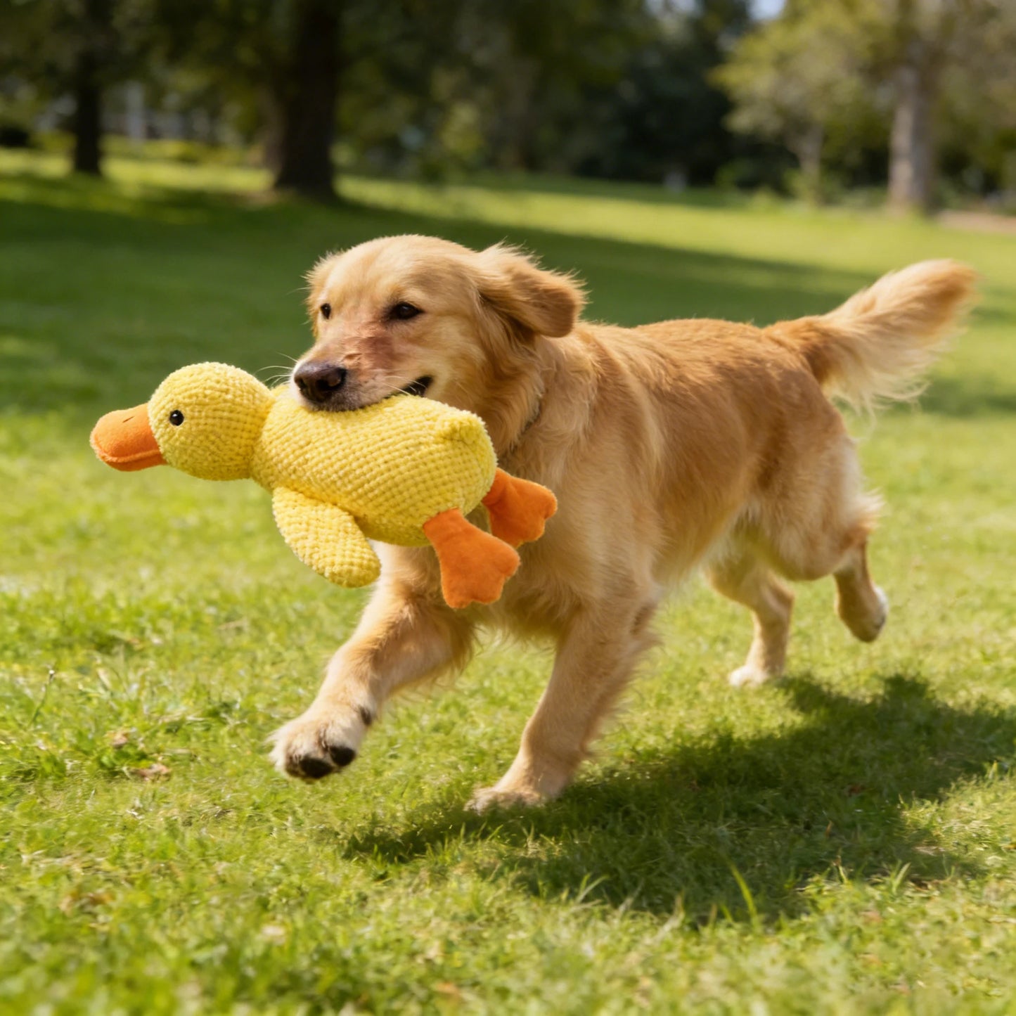 Chew & Squeak Dog Toy