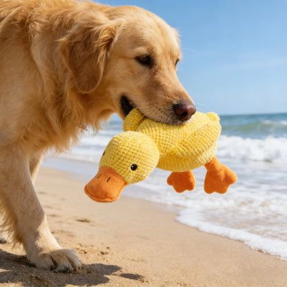 Chew & Squeak Dog Toy