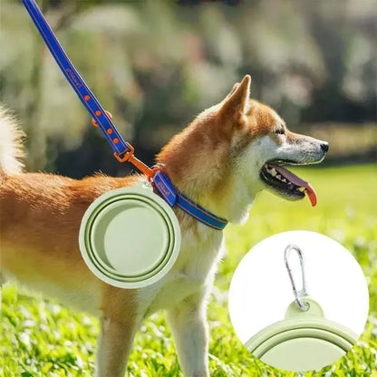 Foldable Travel Pet Bowl