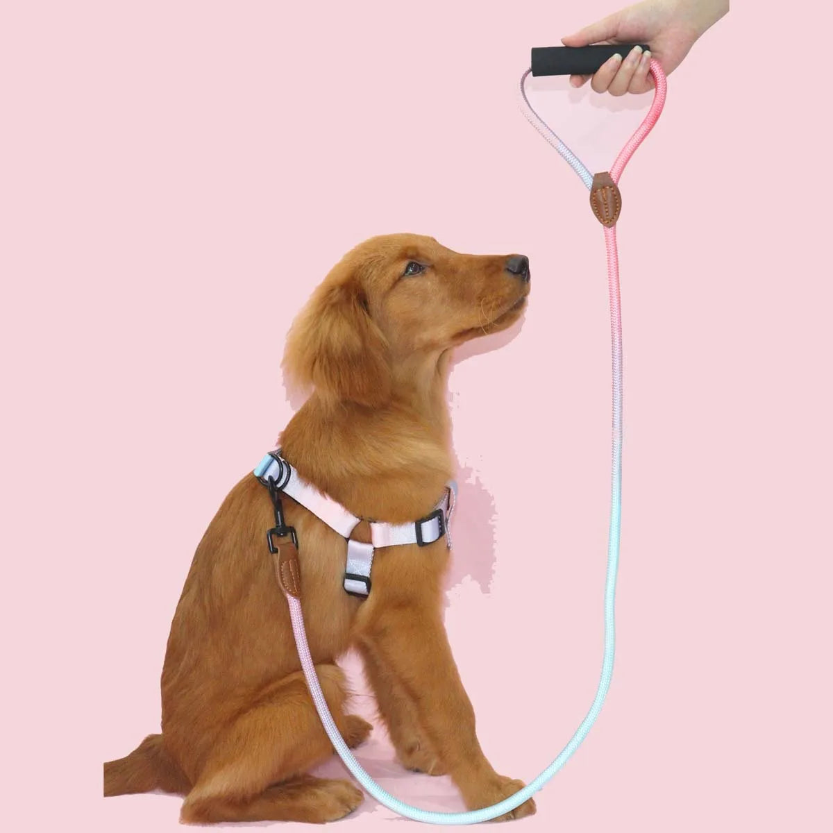 Soft Handle Pet Leash