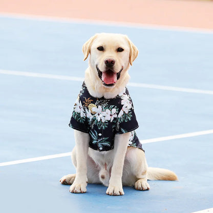 Dog Casual T-Shirt