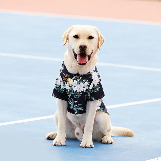 Dog Casual T-Shirt