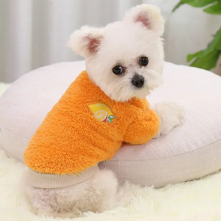 Cozy Small Dog Outfit