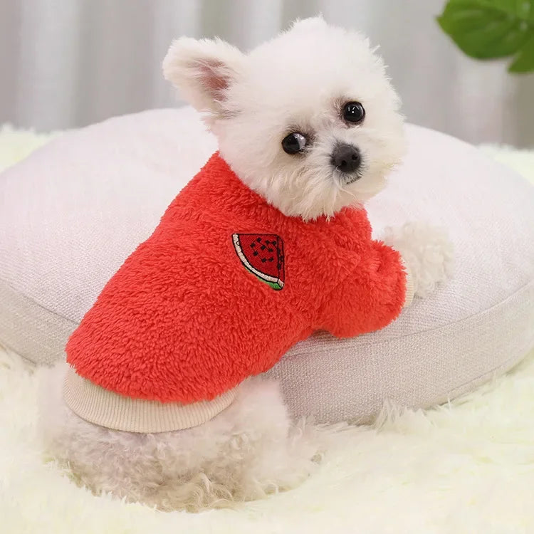 Cozy Small Dog Outfit